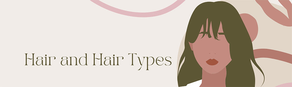 Волосы и типы волос